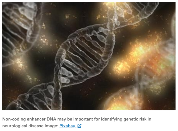 Non-coding enhancer DNA
